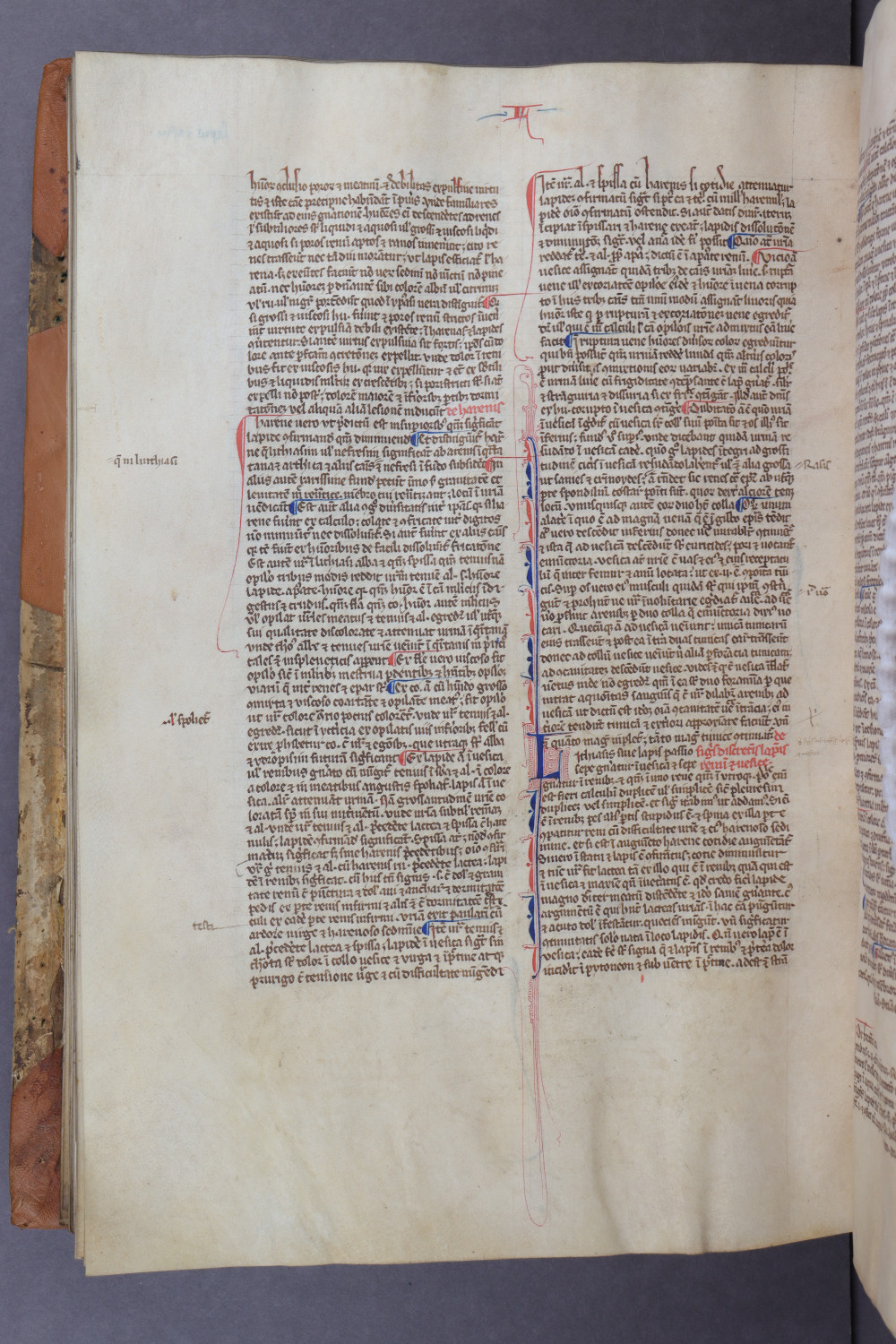 Folio 124 verso
